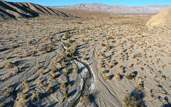 美媒呼吁警惕“山谷热”在美蔓延:患者咳嗽发热 可能需服药数年